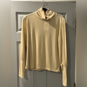 Balloon Sleeve Turtle Neck Blouse